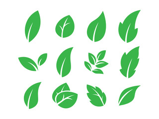 Leaves icon set, Collection green leaf.