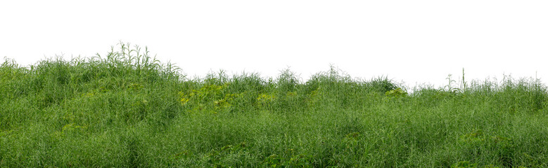 Hill with green isolated on transparent background with clipped path and high resolution alpha...