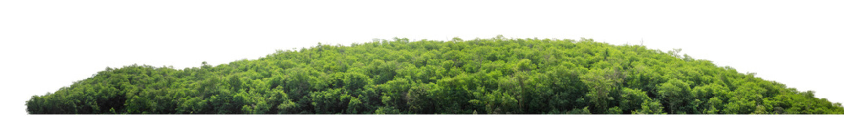 Fototapeta premium Mountain hill with green forest isolate on transparent background with clipping path and alpha channel, high resolution.