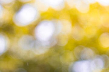 The photo is blurry and out of focus, but it has bokeh and beautiful colors, including orange, yellow, green, and white. It was taken in Myanmar with a high-resolution camera.