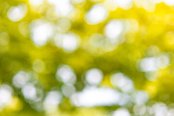 Fototapeta premium The photo is blurry and out of focus, but it has bokeh and beautiful colors, including orange, yellow, green, and white. It was taken in Myanmar with a high-resolution camera.