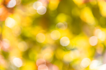 The photo is blurry and out of focus, but it has bokeh and beautiful colors, including orange, yellow, green, and white. It was taken in Myanmar with a high-resolution camera.