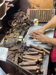 worker in a cigar factory with hand making cigar