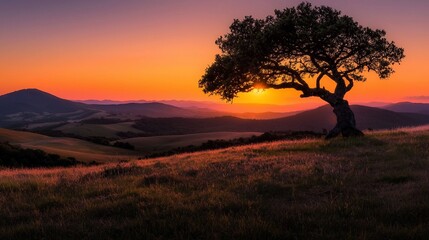 Obraz premium Sunset over rolling hills with a silhouetted tree.