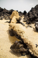 Sand path made by children on the rocks of a beach