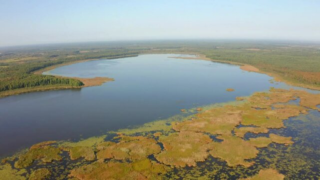 Incredible morning view from flying drone of Luky lake. Wonderful summer scene on Shatsky National Park, Volyn region, Ukraine, Europe. 4K video (Ultra High Definition).