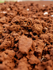 Selective focus shot of cow dung or manure.