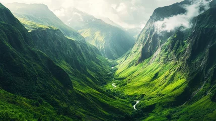 Fototapete Serene Mountain Valley: A Breathtaking Panorama of Lush Green Slopes and Winding River © Anisah