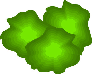 Illustration of Fresh Lettuce
