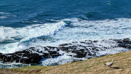 atlantic ocean coast