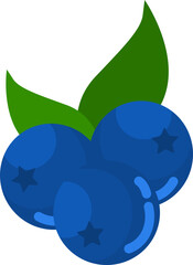 Illustration of Blueberries with Leaves