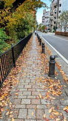 秋の道の落ち葉