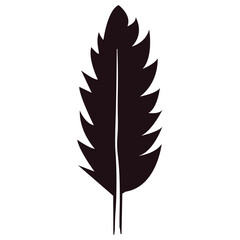 Bird Feather Silhouette Isolated on White Background. Vector Illustration
