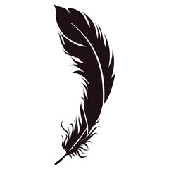 Bird Feather Silhouette Isolated on White Background. Vector Illustration