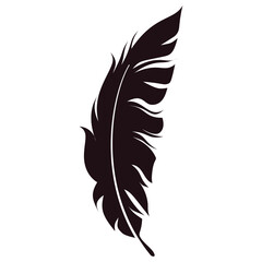 Obraz premium Bird Feather Silhouette Isolated on White Background. Vector Illustration