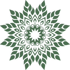 Beautiful flower art and mandala vector design