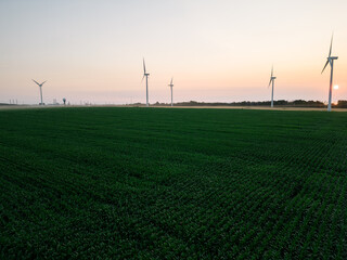 wind turbines at sunset