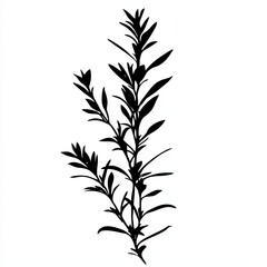 Naklejka premium Minimalist black and white silhouette showcases a rosemary plant with finely drawn strokes, creating an abstract and contemporary decorative element