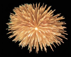 Dynamic Fireworks Illustration in Vibrant Colors with Radiating Movement and Striking Burst for Festive Events