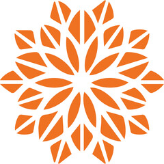 Beautiful flower art and mandala vector design