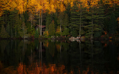 autumn trees reflected in water
