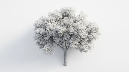 Fototapeta premium White Tree Top View Isolated Nature D Render Minimalist