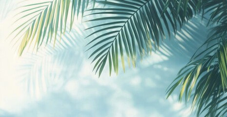 Fototapeta premium Minimalist Palm Leaf Shadow on Pale Blue Background Abstract Composition