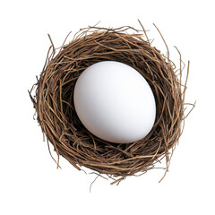 A white egg in a rustic nest, symbolizing life.. transparent background