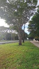 Blue Morning Sky In Singapore
