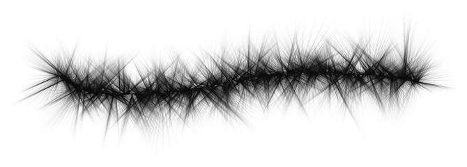 feather on white background