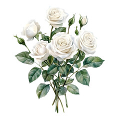 Fototapeta premium Bouquet of white roses isolated on transparent background, cutout