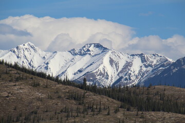 snow covered mountains, Jasper National Park, Alberta