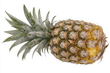A ripe pineapple with a rough golden brown textured skin