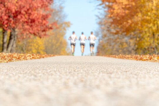 Autumn Marathon on Scenic Trail with Runners Among Vibrant Foliage