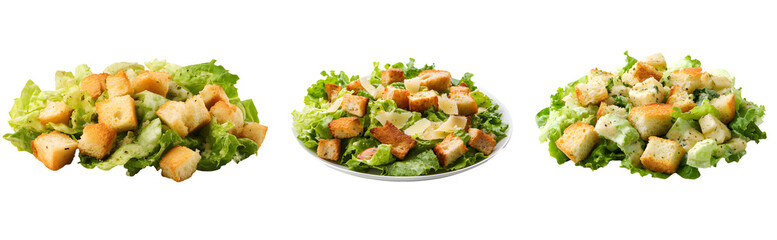 
Caesar Salad collection on transparent background