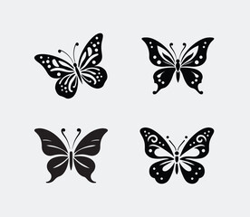 Obraz premium butterfly