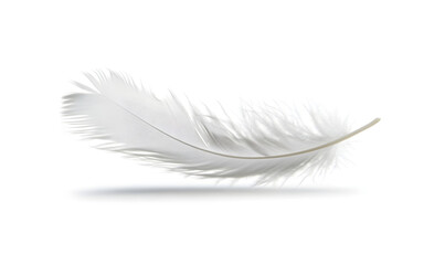 Obraz premium A delicate white feather gracefully floating against a plain background.