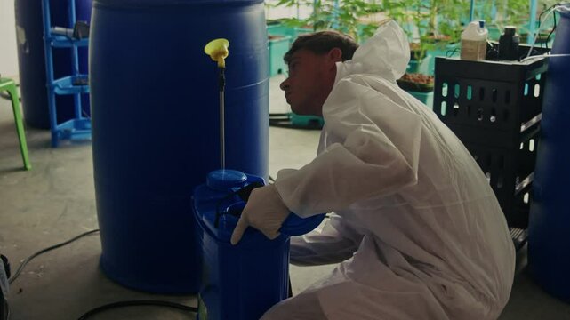 Cultivating Cannabis Precision Care and Attention in a Greenhouse Environment for Growth