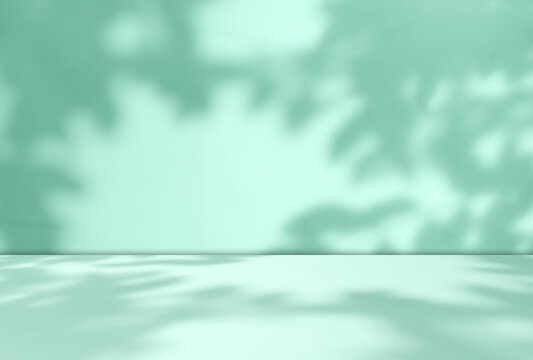 Background green shadow floor studio room photo empty gradient leaf Floor wall backdrop muslin design canvas surface texture podium eco Scene mockup product cosmetic beauty organic display stand.