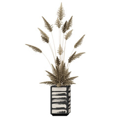 Fototapeta premium 3d rendering of Phragmites australis tree isolated on transparent Canvas