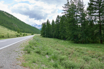 Fototapeta premium Mountain road in the Altai Mountains. Siberia, Russia.