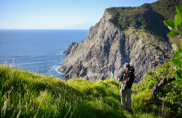 Fototapeta premium Backpacker hiking Cape Brett Track. Bay of Islands.