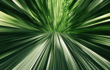 Obraz premium 緑の葉が放つ光の美しさと自然の息吹を感じる瞬間