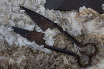 Wool, hand shears, sharpening stone