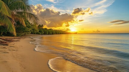 Serene sunset over a tranquil beach showcasing golden hues reflecting on calm ocean waters and lush palm trees.
