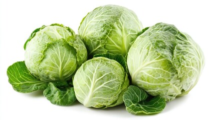 Fresh and vibrant green cabbages with thick leaves arranged artistically showcasing their spherical heads and lush foliage on a white background