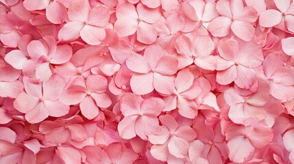 Fototapeta premium Delicate pink orchid petals creating a soft and elegant floral background suitable for various creative projects and design needs.