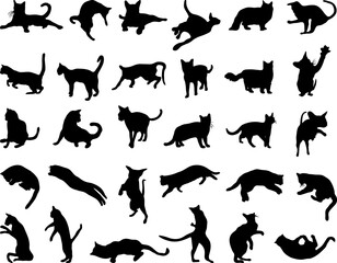 Obraz premium Black silhouettes of cats