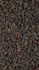 Organic Dried Black Currant Seeds Displayed on a Dark Background for a Stunning Visual Effect