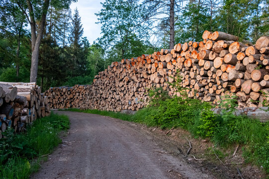 Rundwanderweg G&uuml;ntersberge Selketal Naturlehrpfad